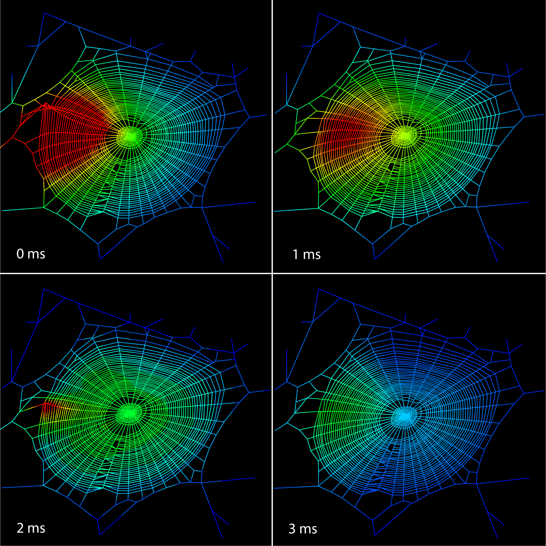 Tuning the instrument spider webs as vibration transmission structures